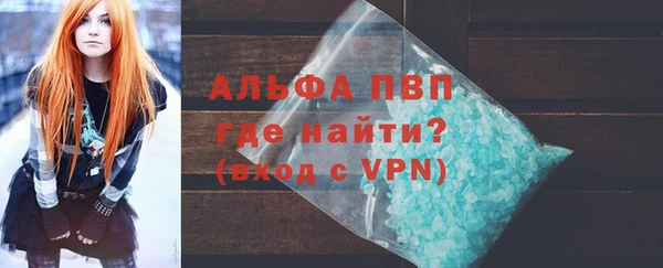 индика Алексин