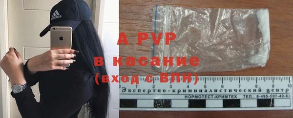 индика Алексин