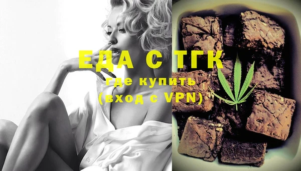 индика Алексин