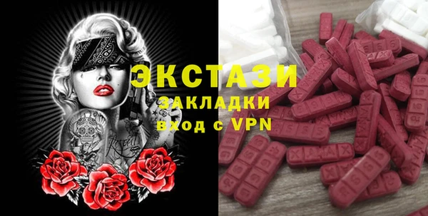 индика Алексин