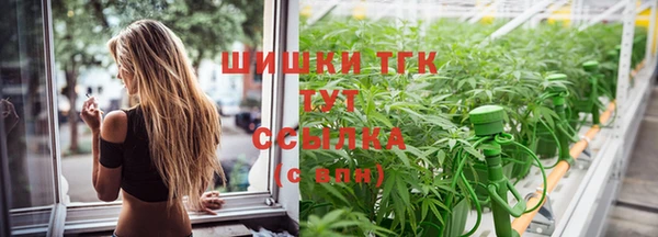 крисы Дмитриев